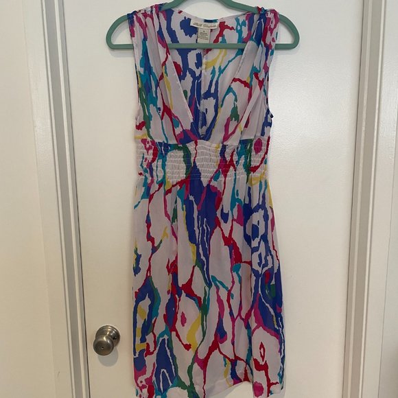 Sheer BB Dakota Multi-colored Dress Size 10 - Picture 1 of 4